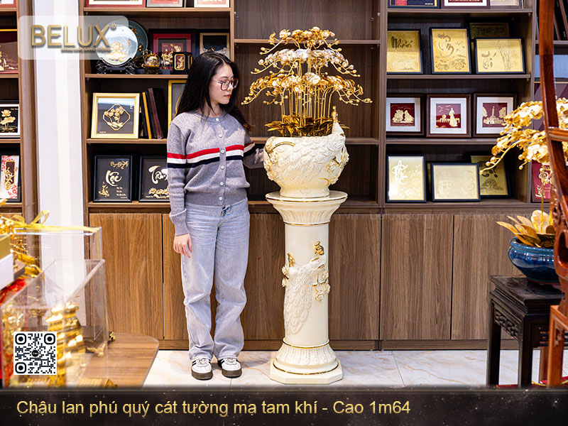 Chậu Lan Phú Quý Cát Tường Mạ Tam Khí Cao 1m64